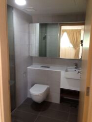 Eight Riversuites (D12), Condominium #319650311